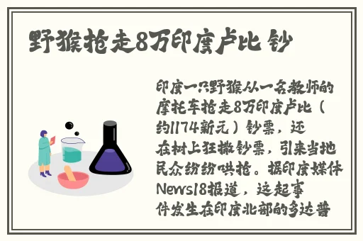 雷神和旅行者拔萝卜是哪一集